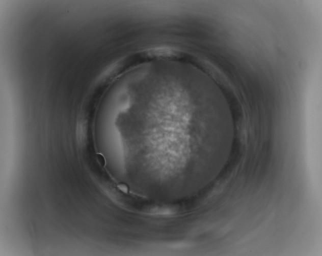 X0000113780735200909301149