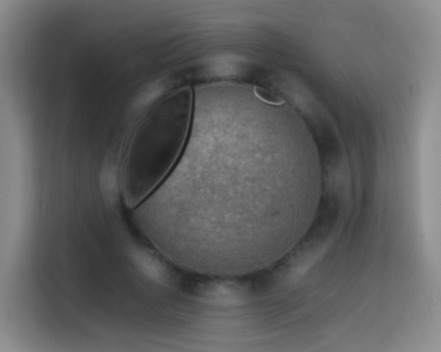 X0000113780736200909301149