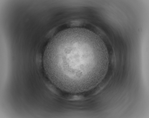 X0000113780737200909301149