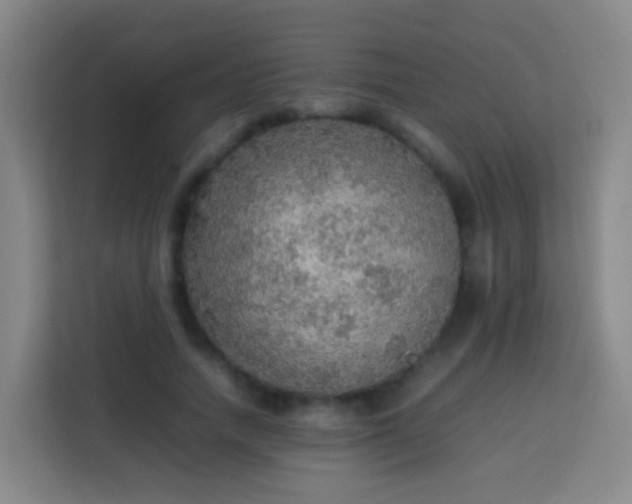 X0000113780738200909301149