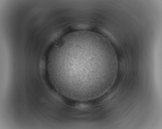 X0000113780739200909301149