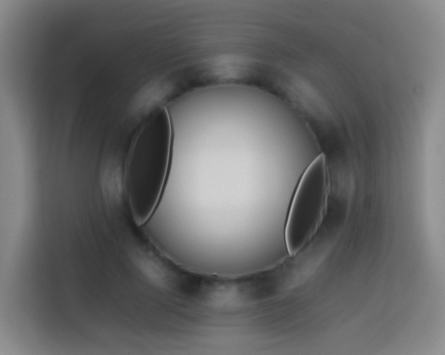 X0000113780740200909301149