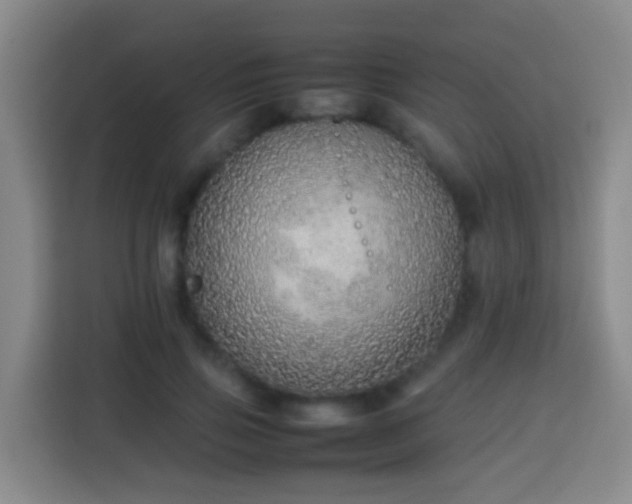 X0000113780741200909301149