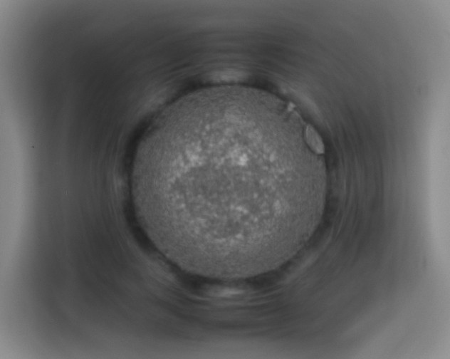 X0000113780743200909301149