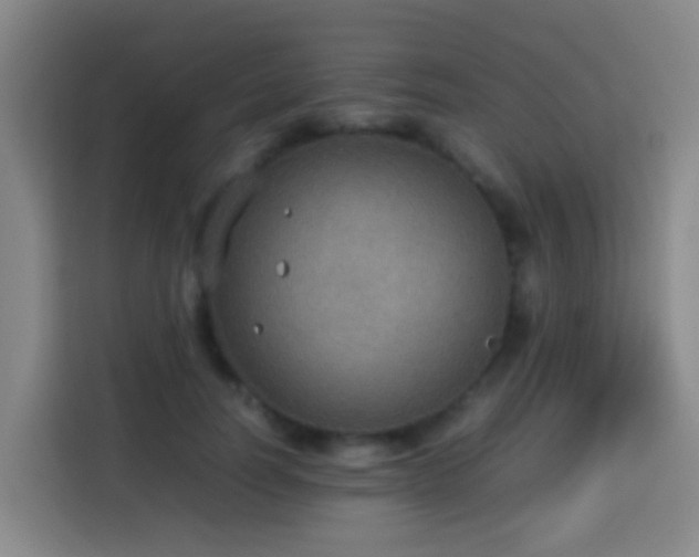 X0000113780746200909301149