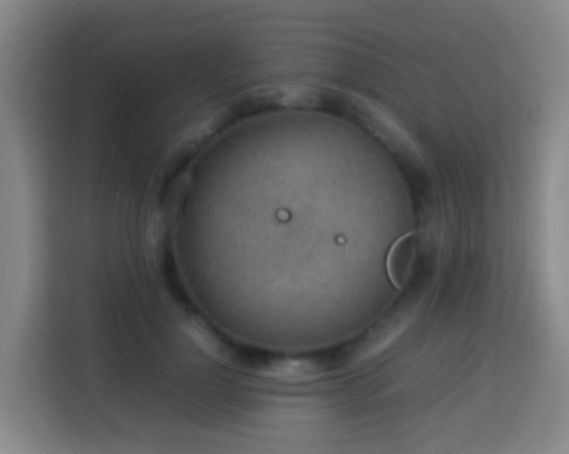 X0000113780748200909301149