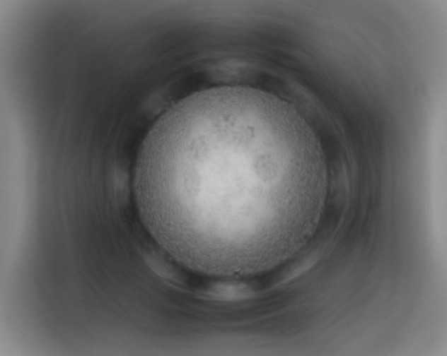 X0000113780749200909301149
