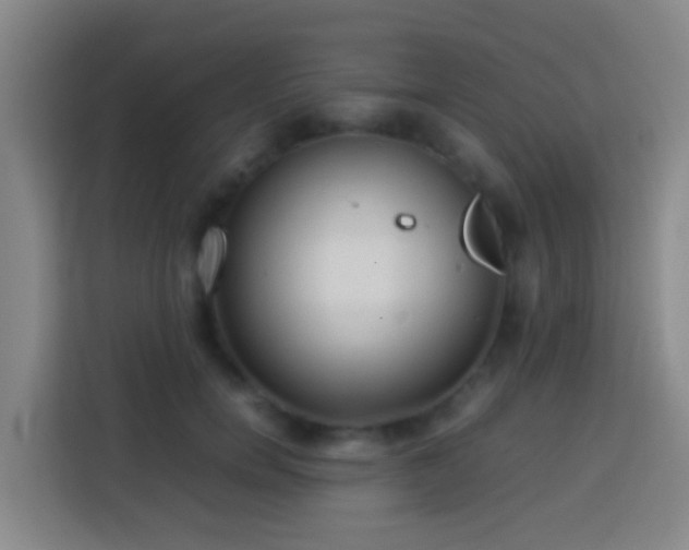 X0000113780750200909301149