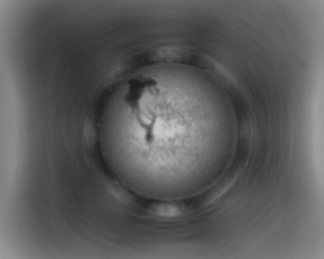 X0000113780751200909301149