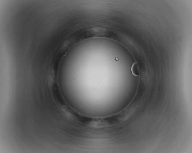 X0000113780752200909301149