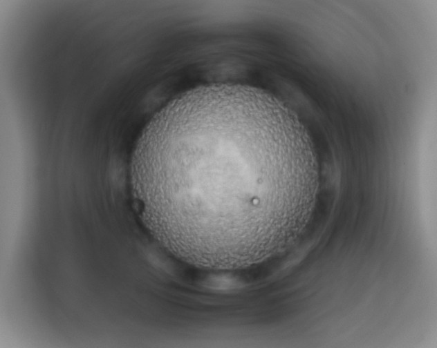 X0000113780753200909301149