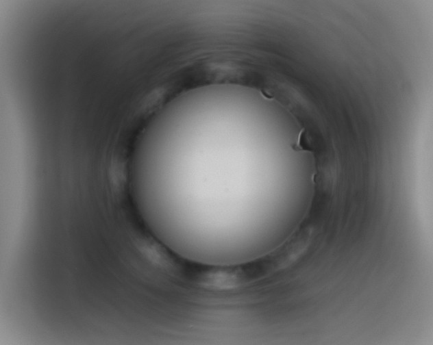 X0000113780756200909301149