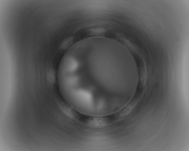 X0000113780758200909301149