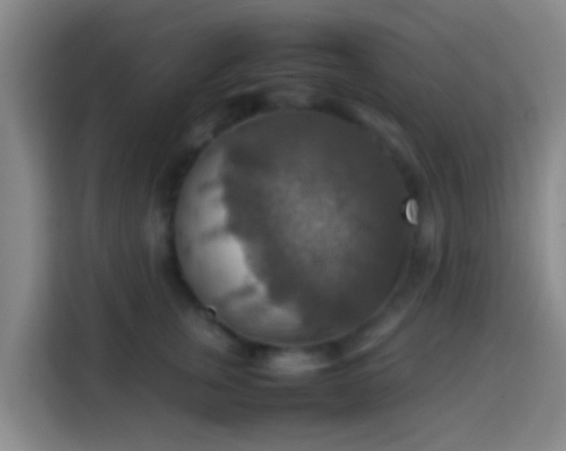 X0000113780759200909301149