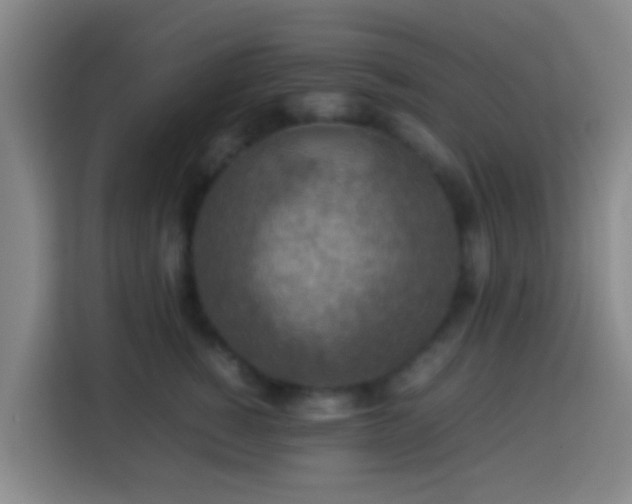 X0000113780760200909301149