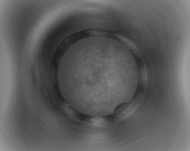 X0000113780762200909301149