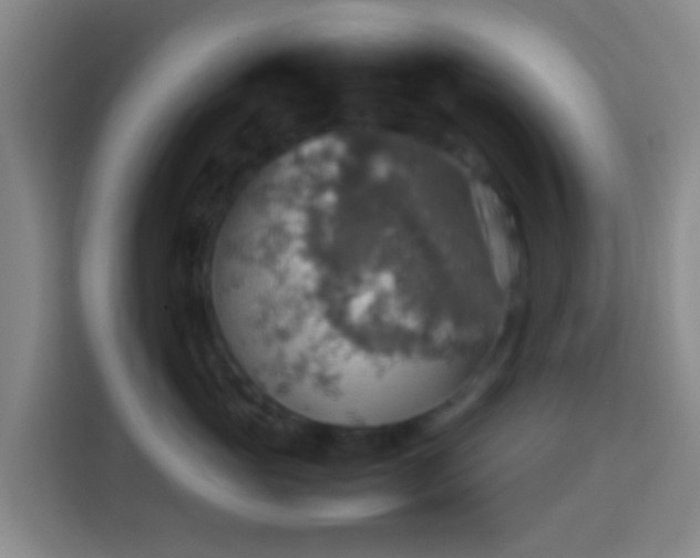 X0000113780765200909301149