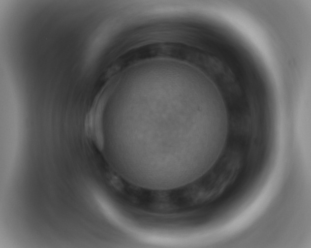 X0000113780766200909301149