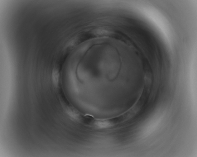 X0000113780767200909301149