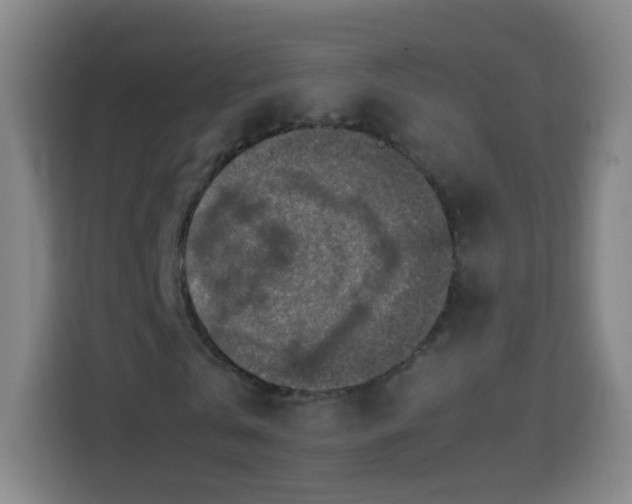 X0000113780769200909301149