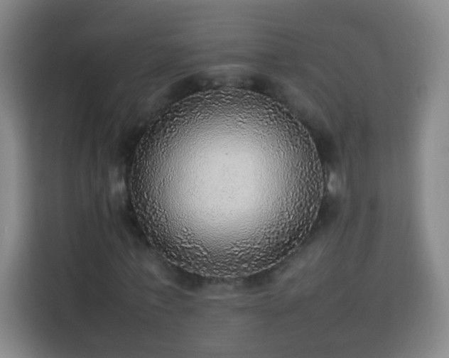 X0000113780771200909301149