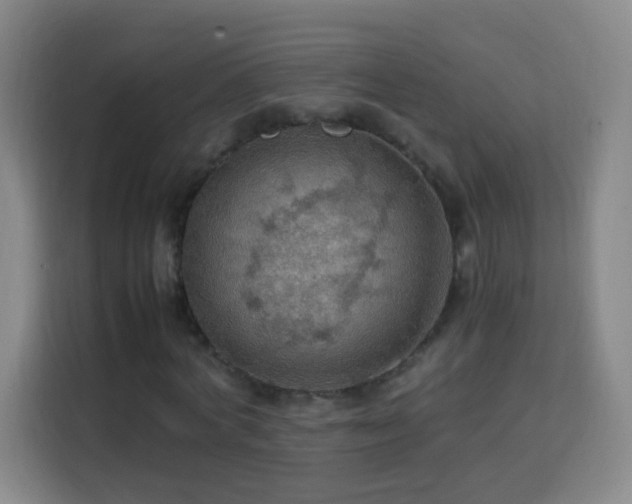X0000113780772200909301149