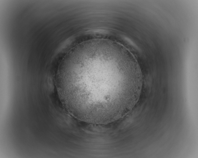 X0000113780774200909301148