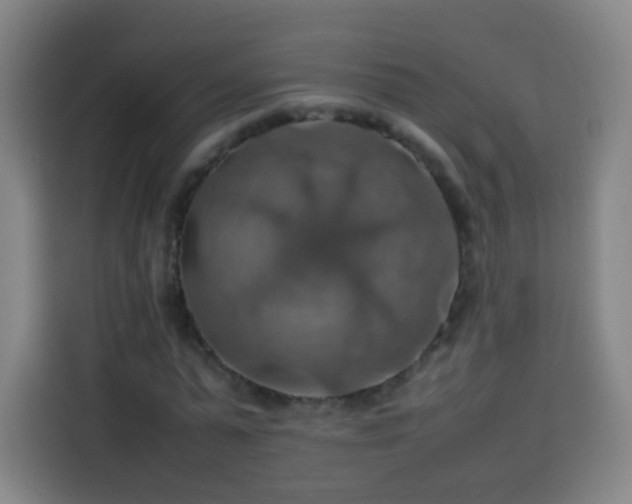 X0000113780775200909301148