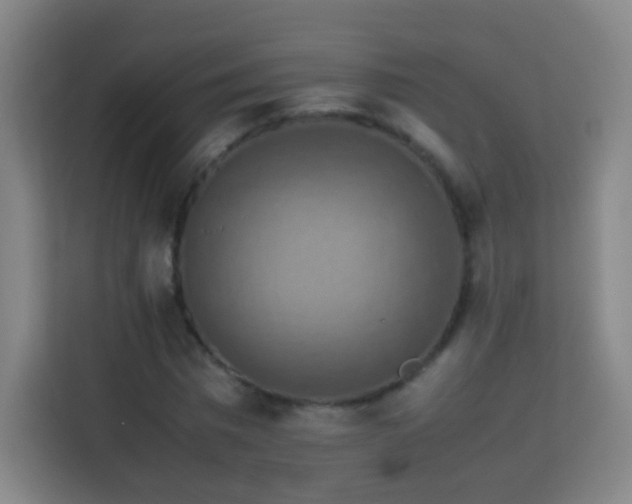 X0000113780777200909301148