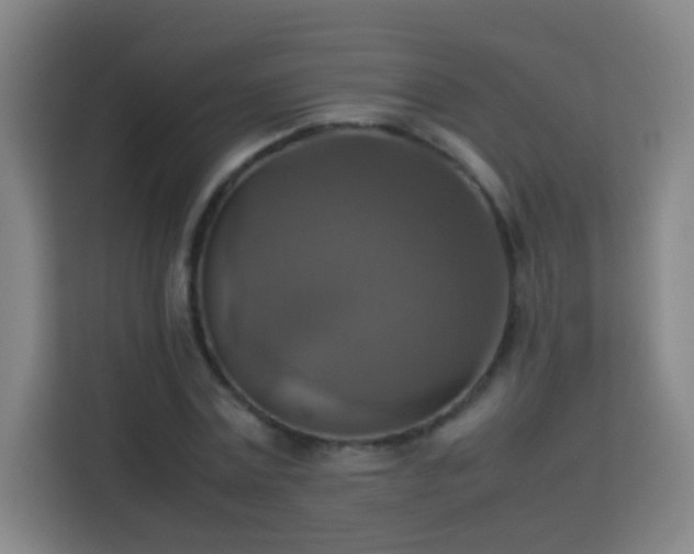 X0000113780779200909301148
