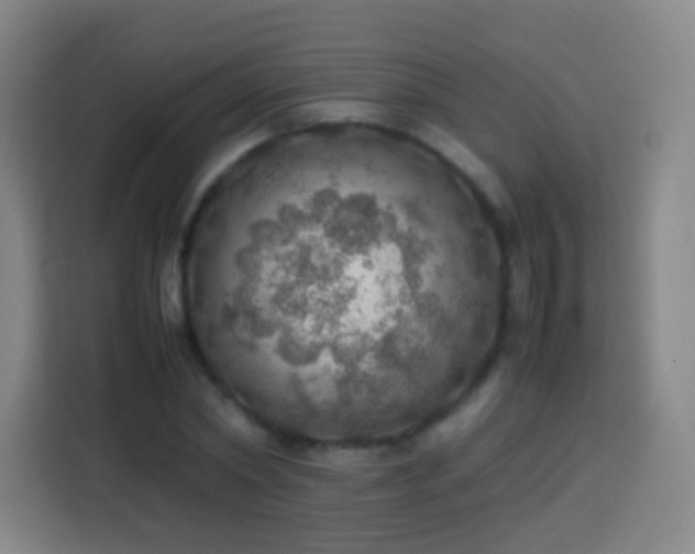 X0000113780782200909301148