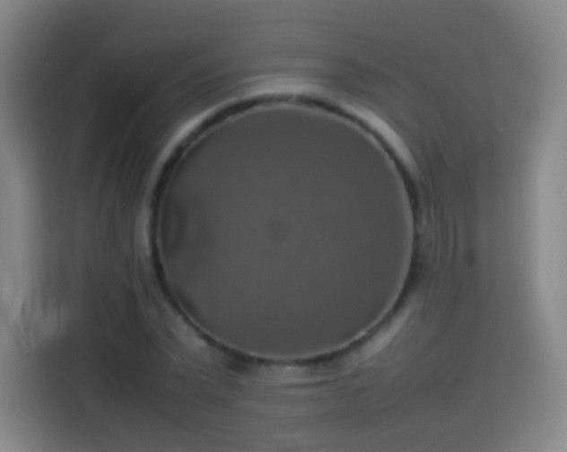X0000113780783200909301148