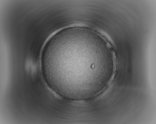 X0000113780784200909301148