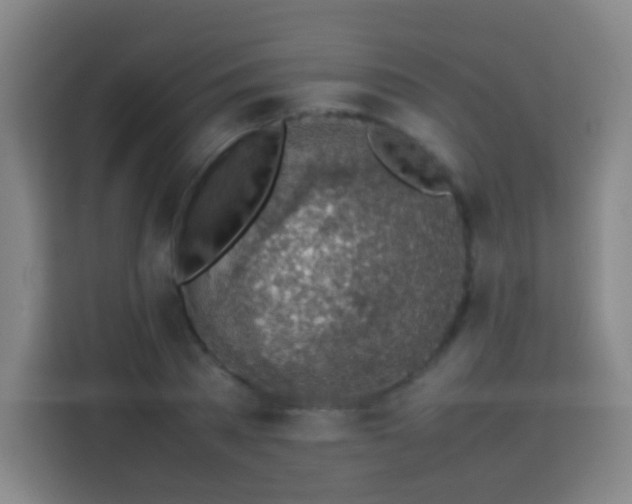 X0000113780785200909301148