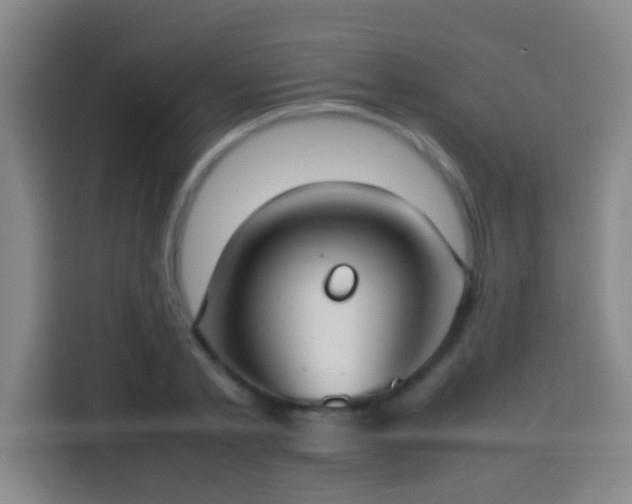 X0000113780789200909301148