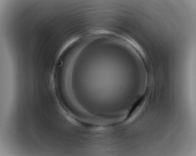 X0000113780806200909301148
