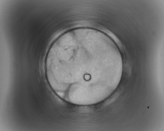 X0000113780807200909301148