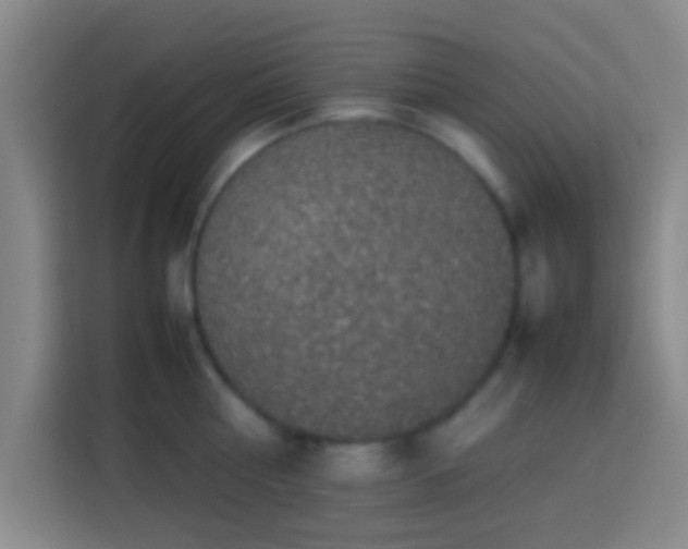 X0000113780810200909301148