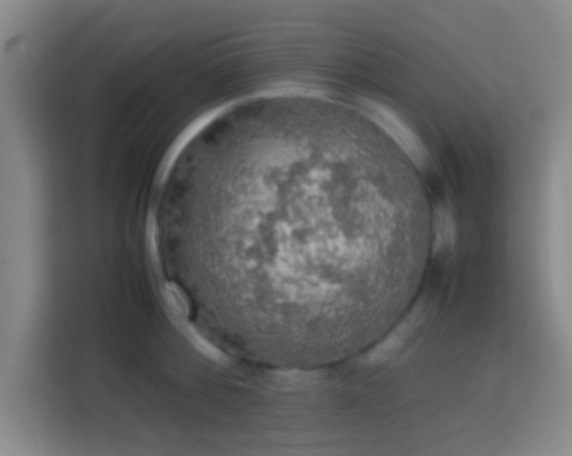 X0000113780812200909301148