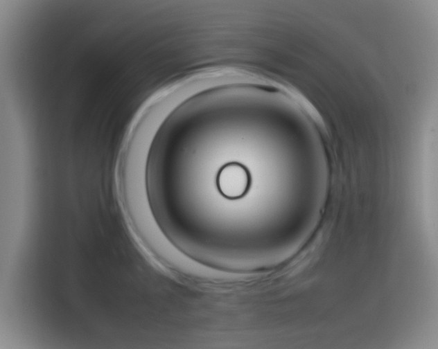X0000113780813200909301148