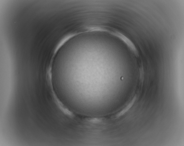 X0000113780814200909301148
