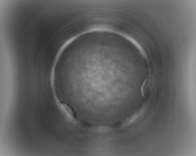 X0000113780815200909301148