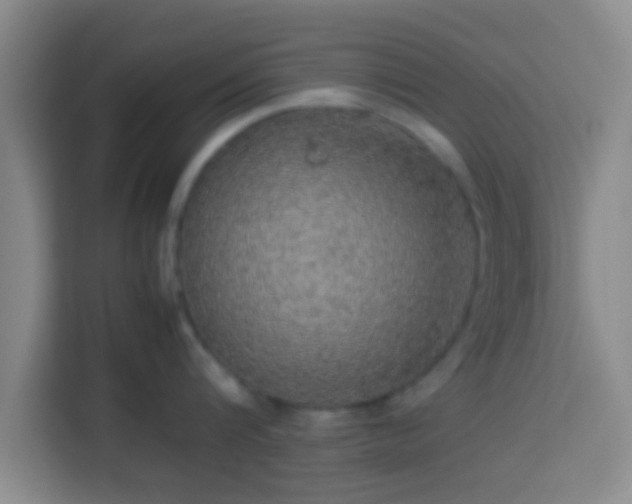 X0000113780816200909301148