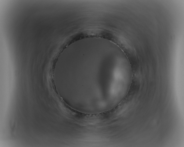 X0000113780817200909301147