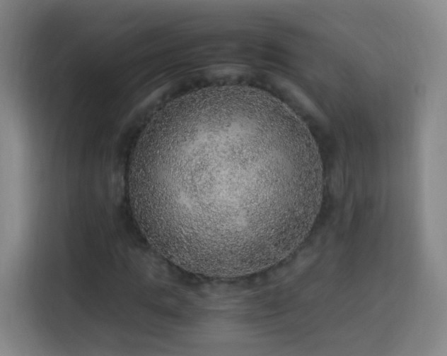 X0000113780821200909301147