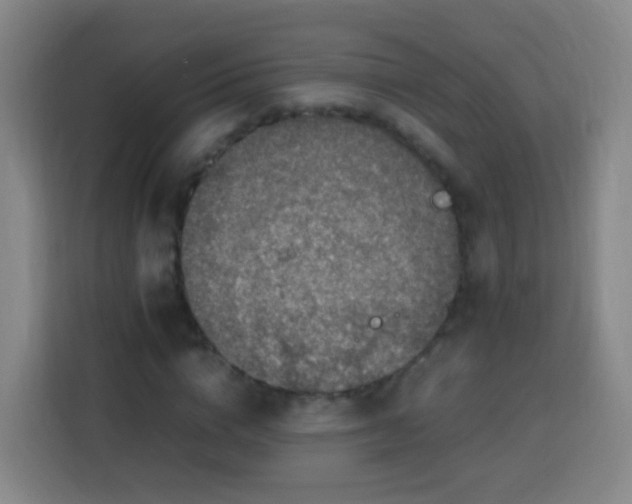 X0000113780824200909301147