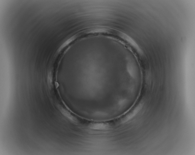 X0000113780826200909301147