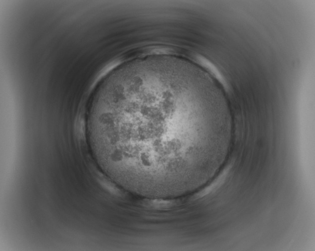 X0000113780827200909301147