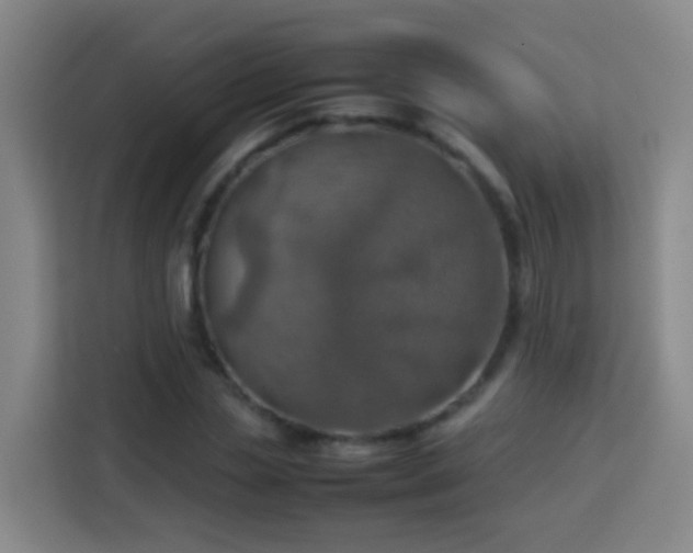 X0000113780829200909301147