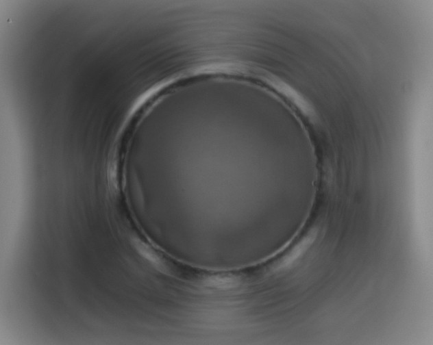 X0000113780830200909301148